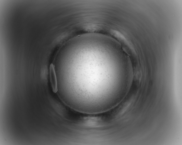 X0000088900448200706081309