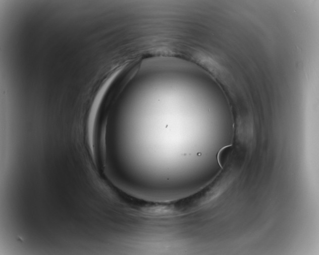 X0000088900449200706081309