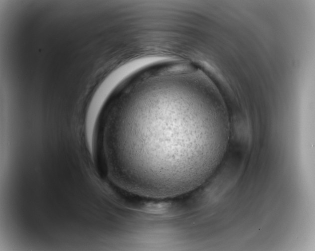 X0000088900450200706081309