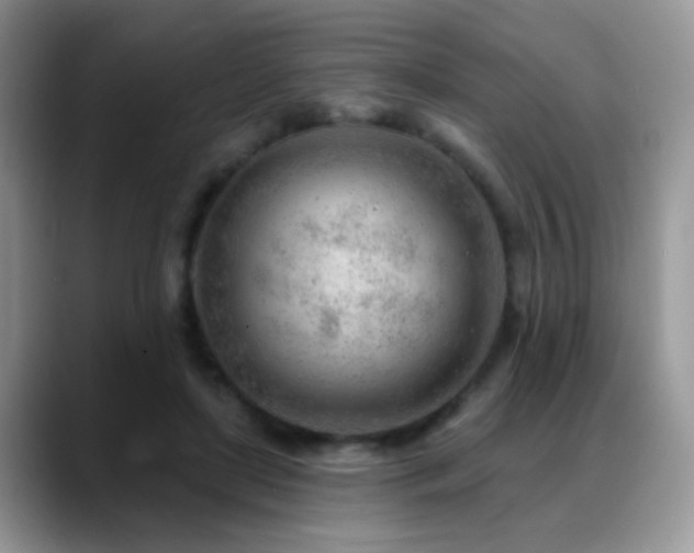 X0000088900451200706081309