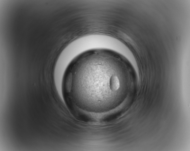 X0000088900452200706081309