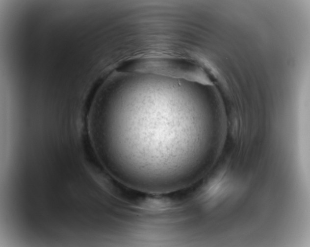 X0000088900455200706081309