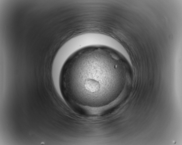 X0000088900456200706081309