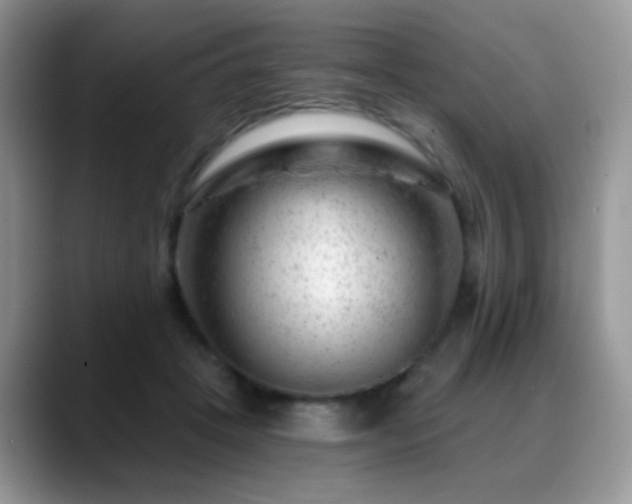 X0000088900457200706081309