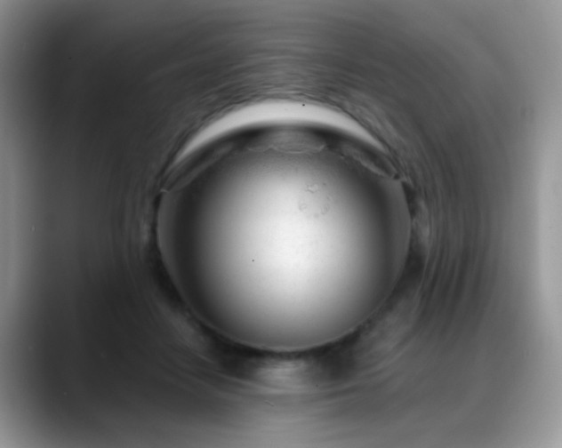 X0000088900458200706081309