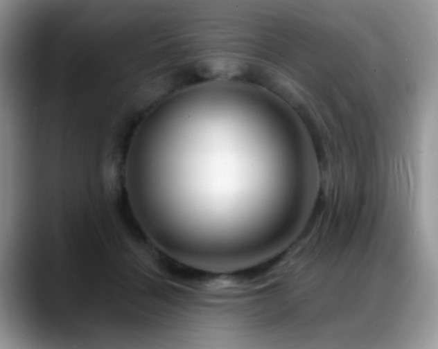 X0000088900460200706081309