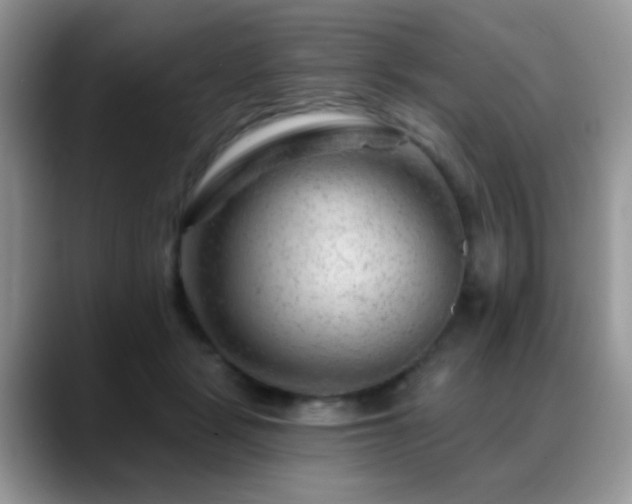X0000088900461200706081309