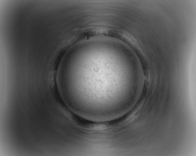 X0000088900462200706081309