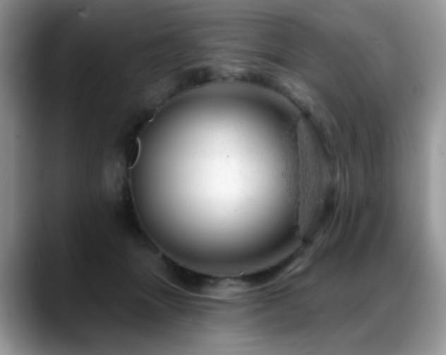 X0000088900463200706081309