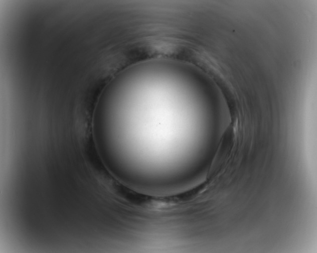 X0000088900464200706081309