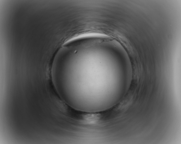 X0000088900465200706081309