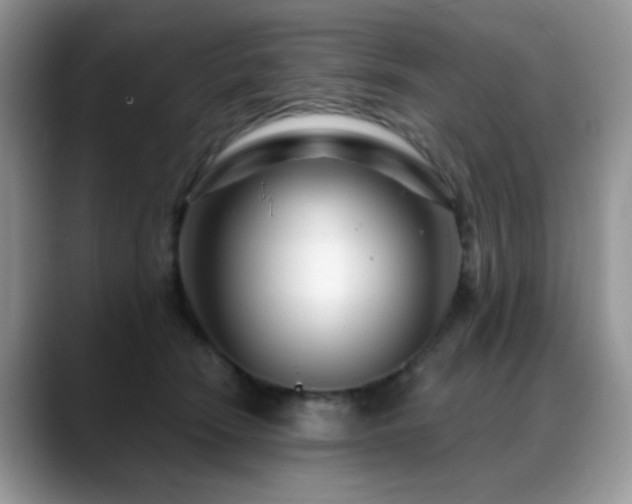 X0000088900466200706081309