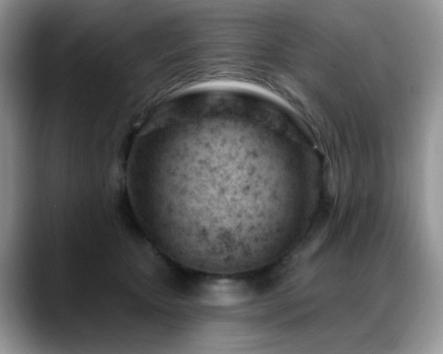 X0000088900467200706081309