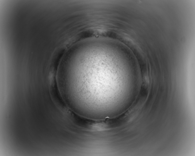 X0000088900468200706081309