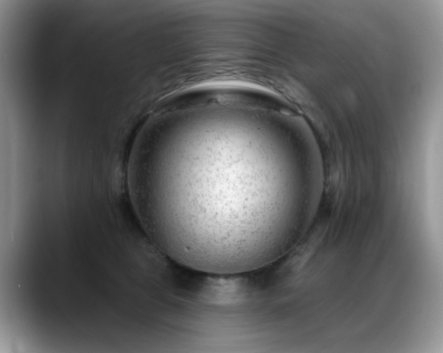 X0000088900469200706081309