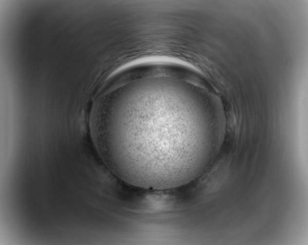 X0000088900470200706081309
