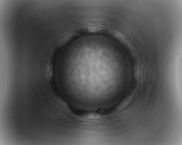 X0000088900471200706081309