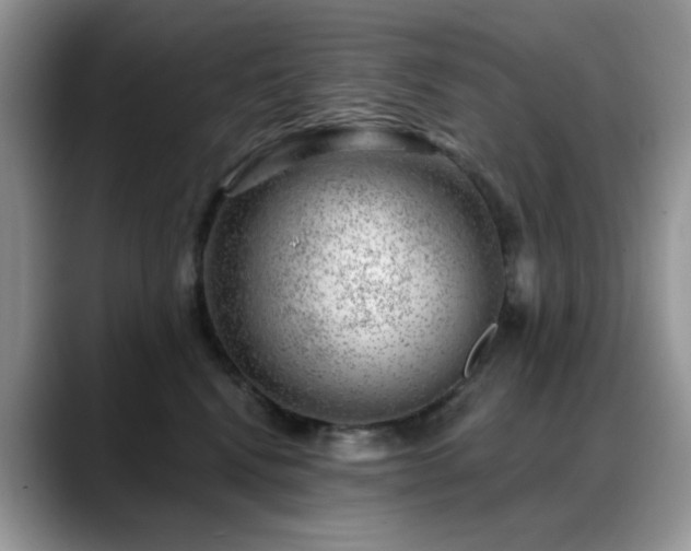 X0000088900472200706081309