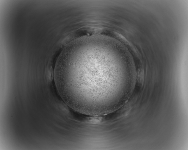 X0000088900474200706081309