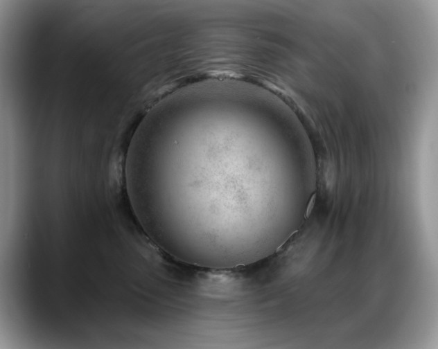 X0000088900475200706081309