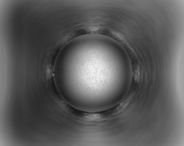 X0000088900476200706081309