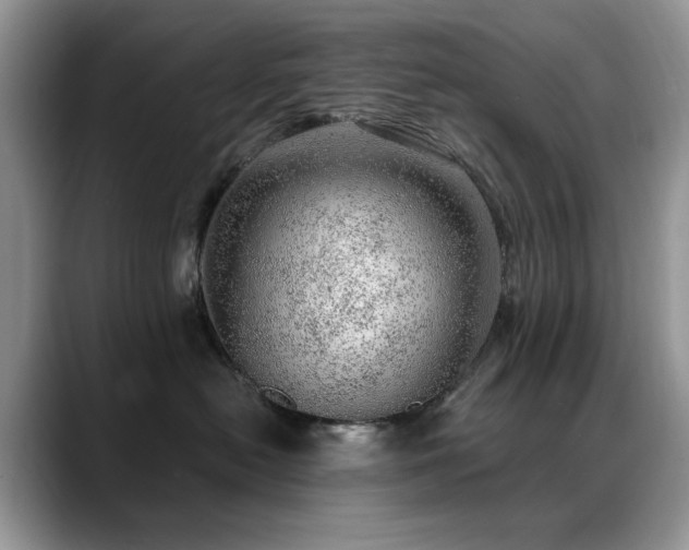 X0000088900478200706081309