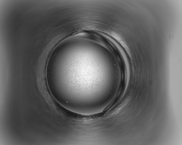 X0000088900481200706081308