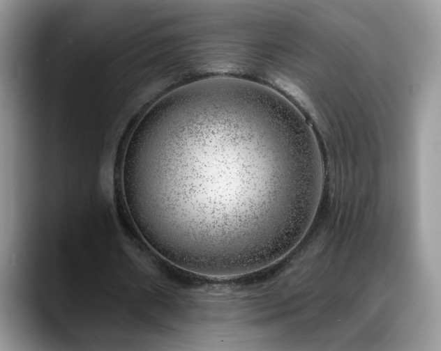 X0000088900482200706081308