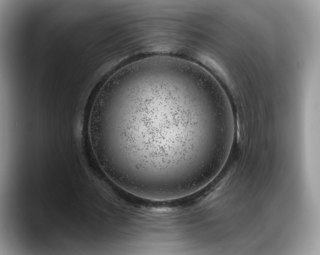 X0000088900483200706081308