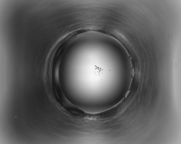 X0000088900484200706081308