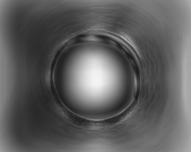 X0000088900485200706081308