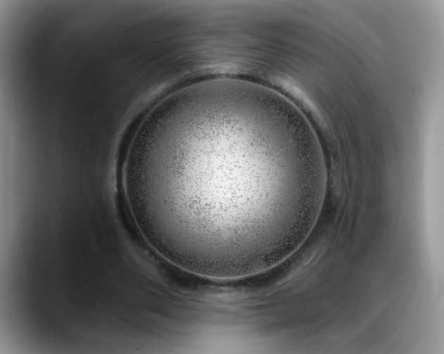 X0000088900486200706081308
