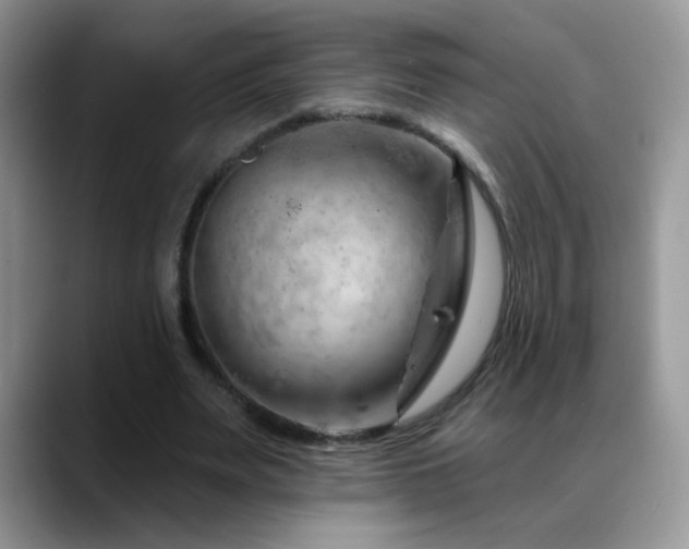 X0000088900487200706081308