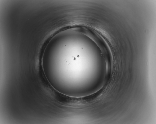 X0000088900488200706081308