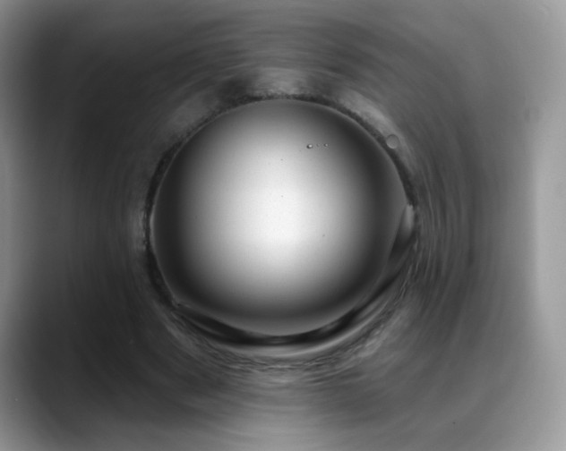 X0000088900489200706081308