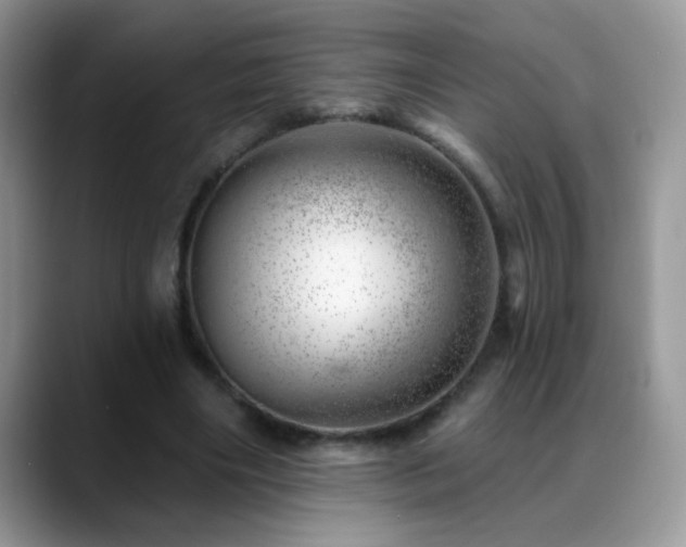 X0000088900490200706081308