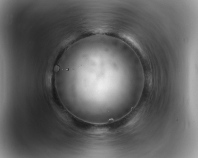 X0000088900491200706081308