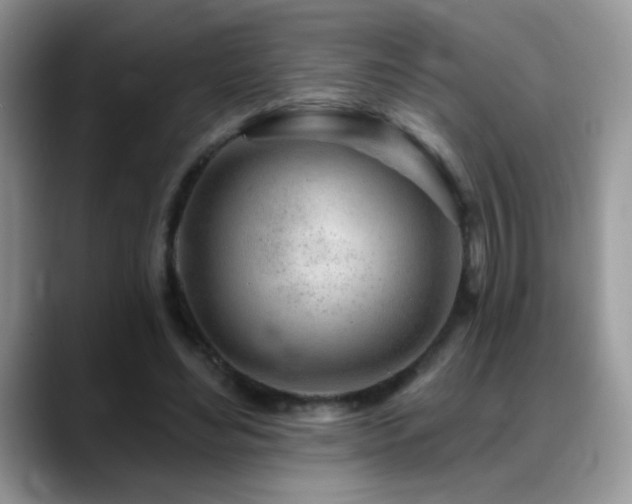 X0000088900492200706081308