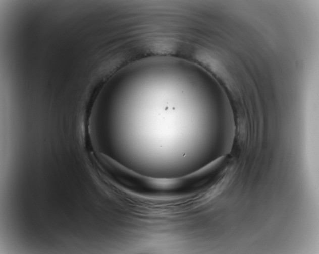 X0000088900493200706081308