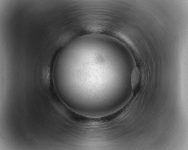 X0000088900494200706081308