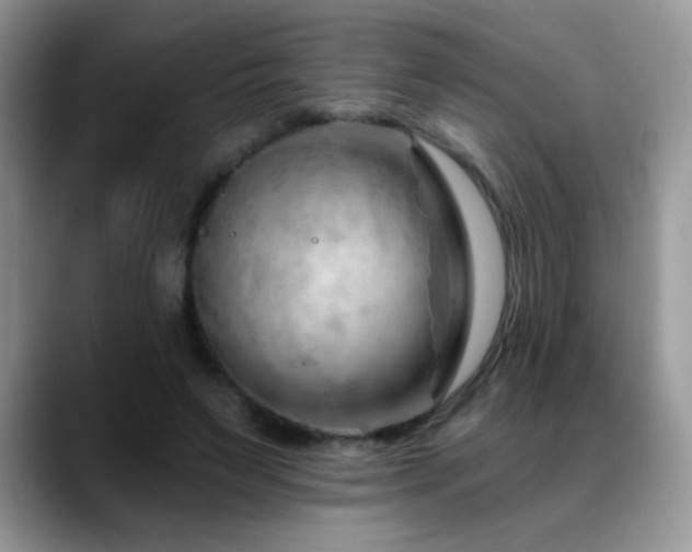 X0000088900495200706081308