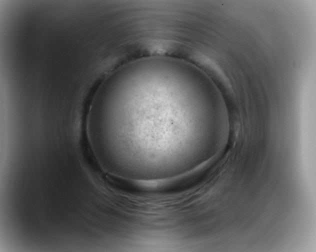 X0000088900496200706081308