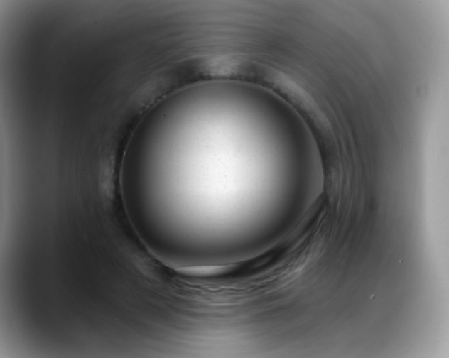 X0000088900497200706081308