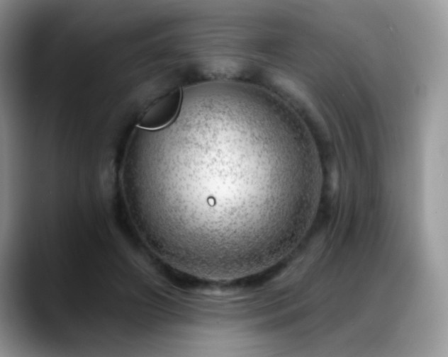 X0000088900498200706081308