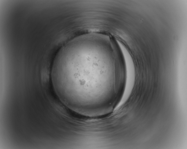 X0000088900499200706081308