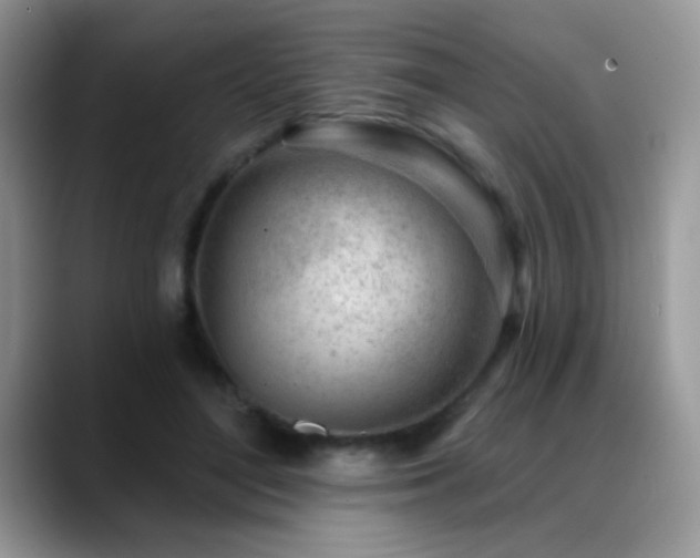 X0000088900500200706081308
