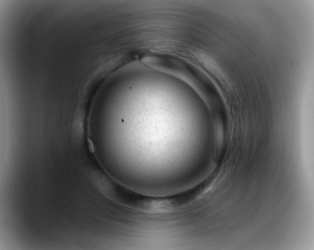 X0000088900501200706081308
