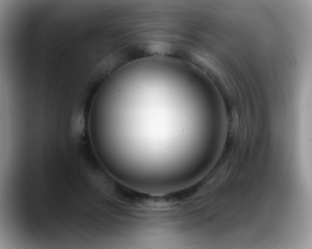 X0000088900502200706081308