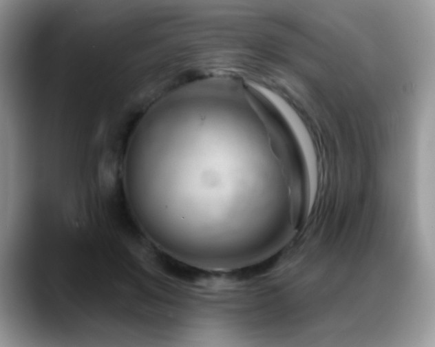 X0000088900503200706081308