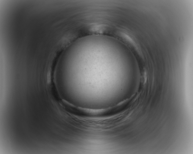 X0000088900504200706081308